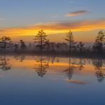 Põhja-Kõrvemaa_Nature_Reserve._Estonia.